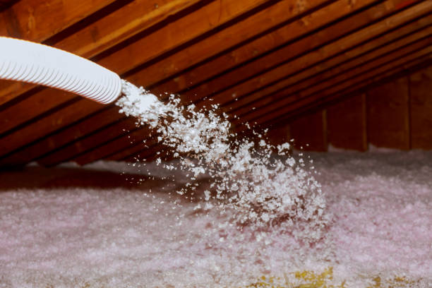 Best Eco-Friendly Insulation in Fulton, IL