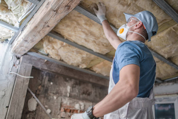 Best Commercial Insulation in Fulton, IL
