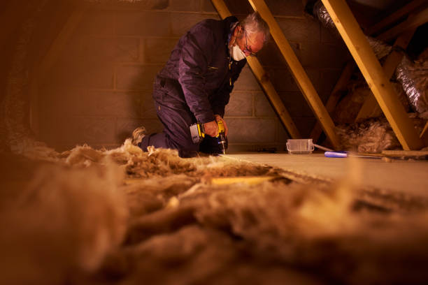 Best Cellulose Insulation in Fulton, IL